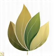 Logoul stilizat al unei companii românești de suplimente, cu design organic și certificat EU.